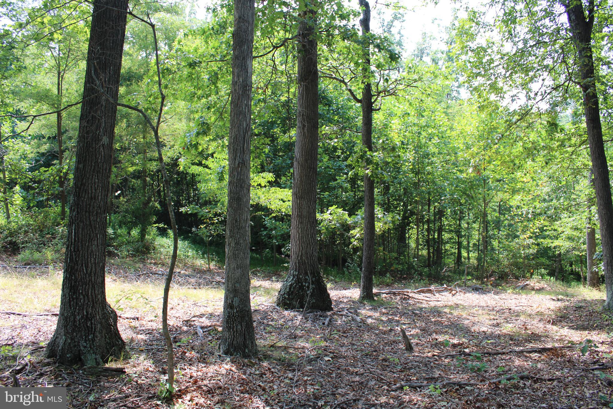 NONE AVAILABLE - Land