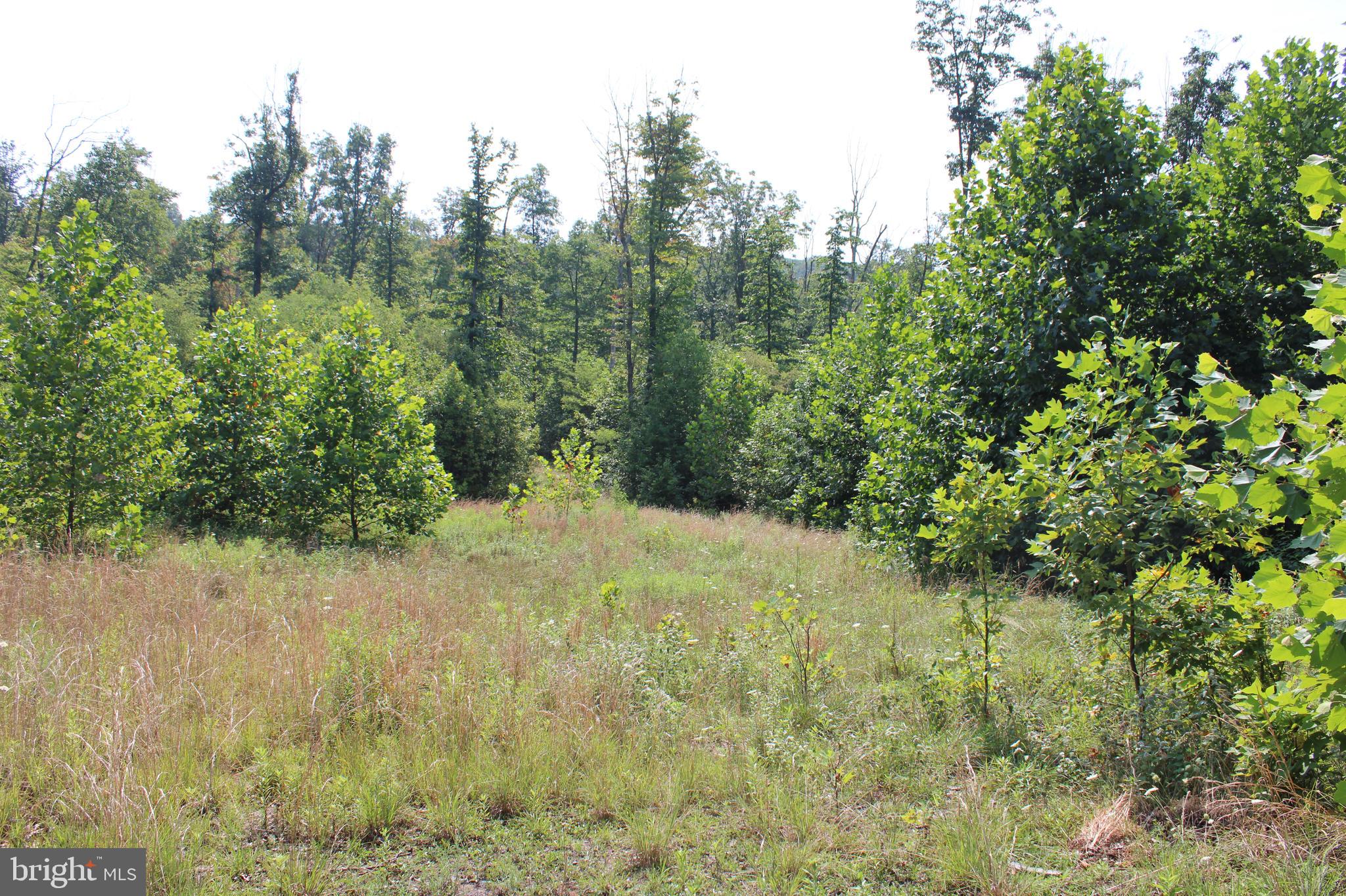 NONE AVAILABLE - Land