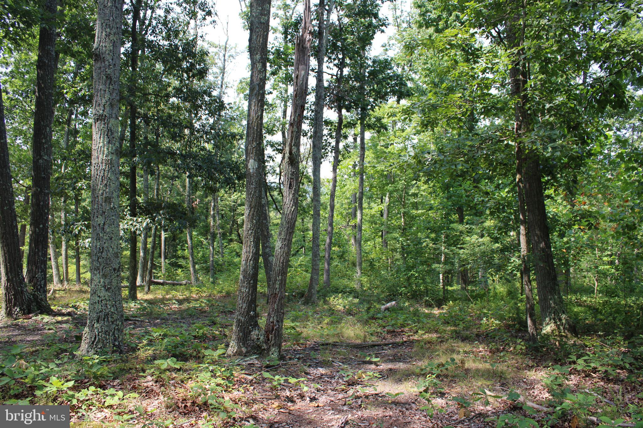 NONE AVAILABLE - Land