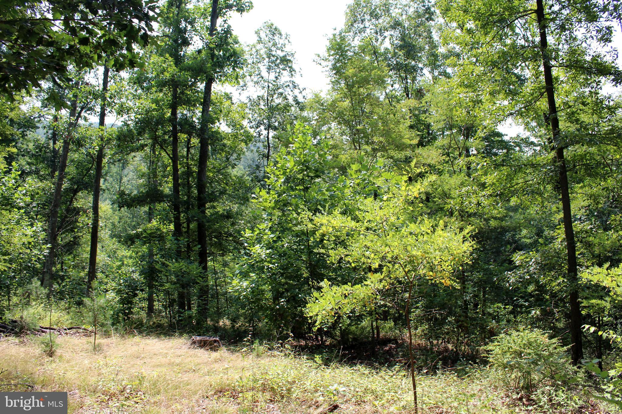 NONE AVAILABLE - Land