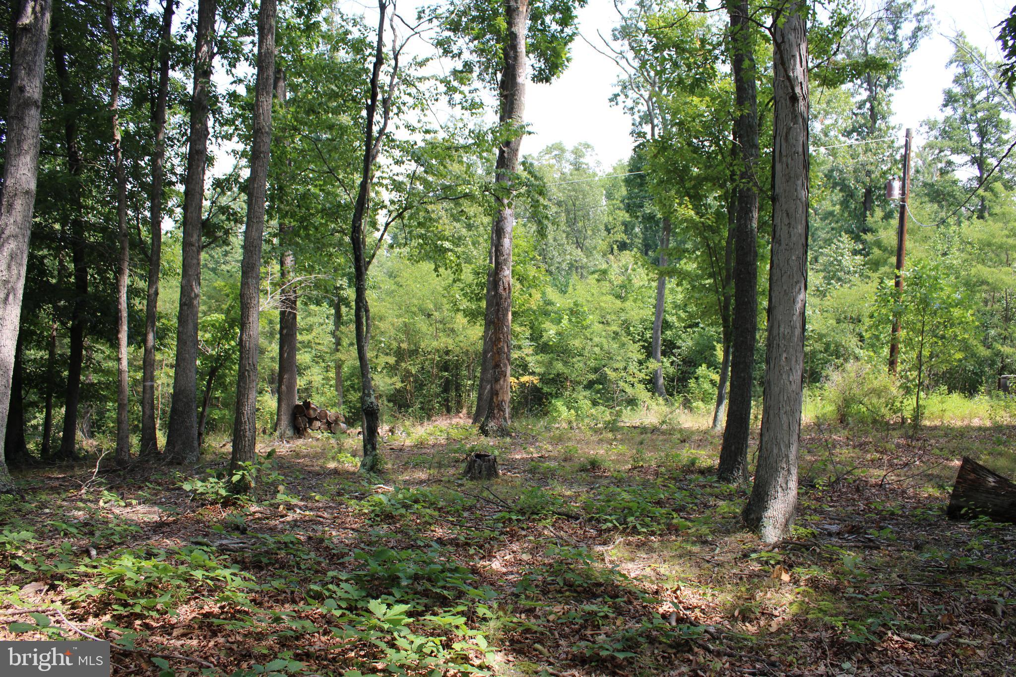 NONE AVAILABLE - Land