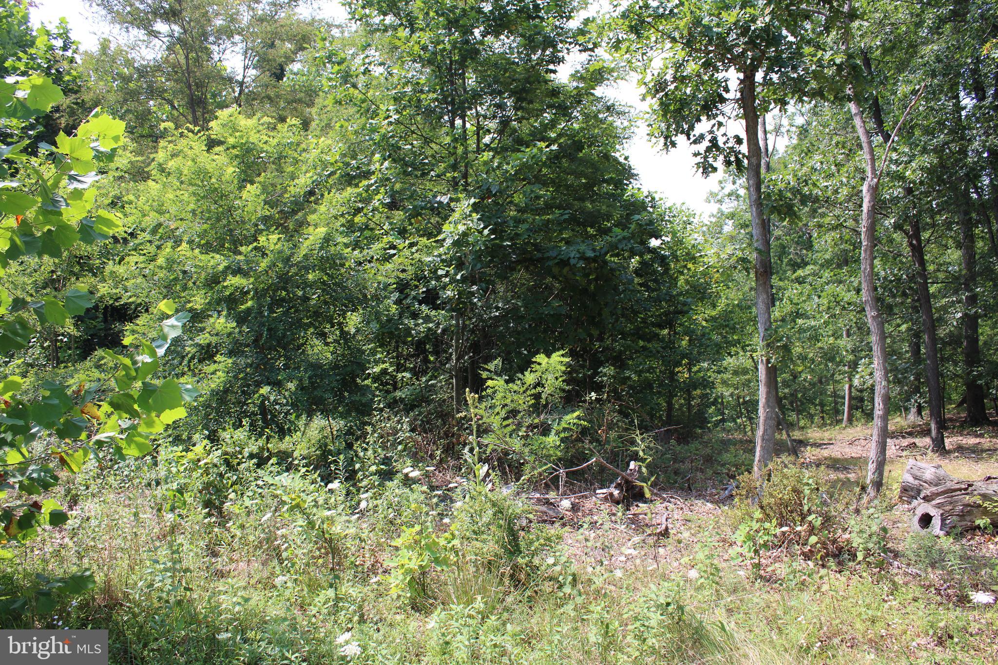 NONE AVAILABLE - Land