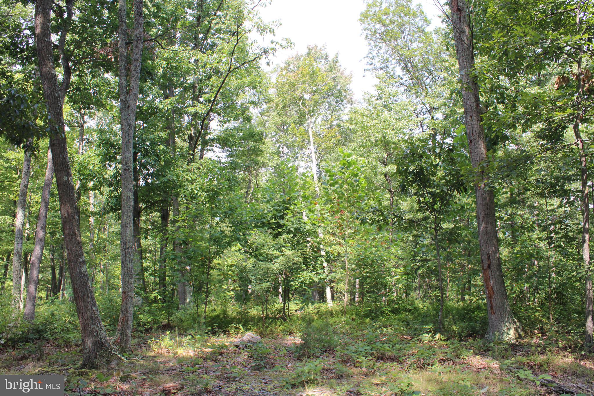 NONE AVAILABLE - Land