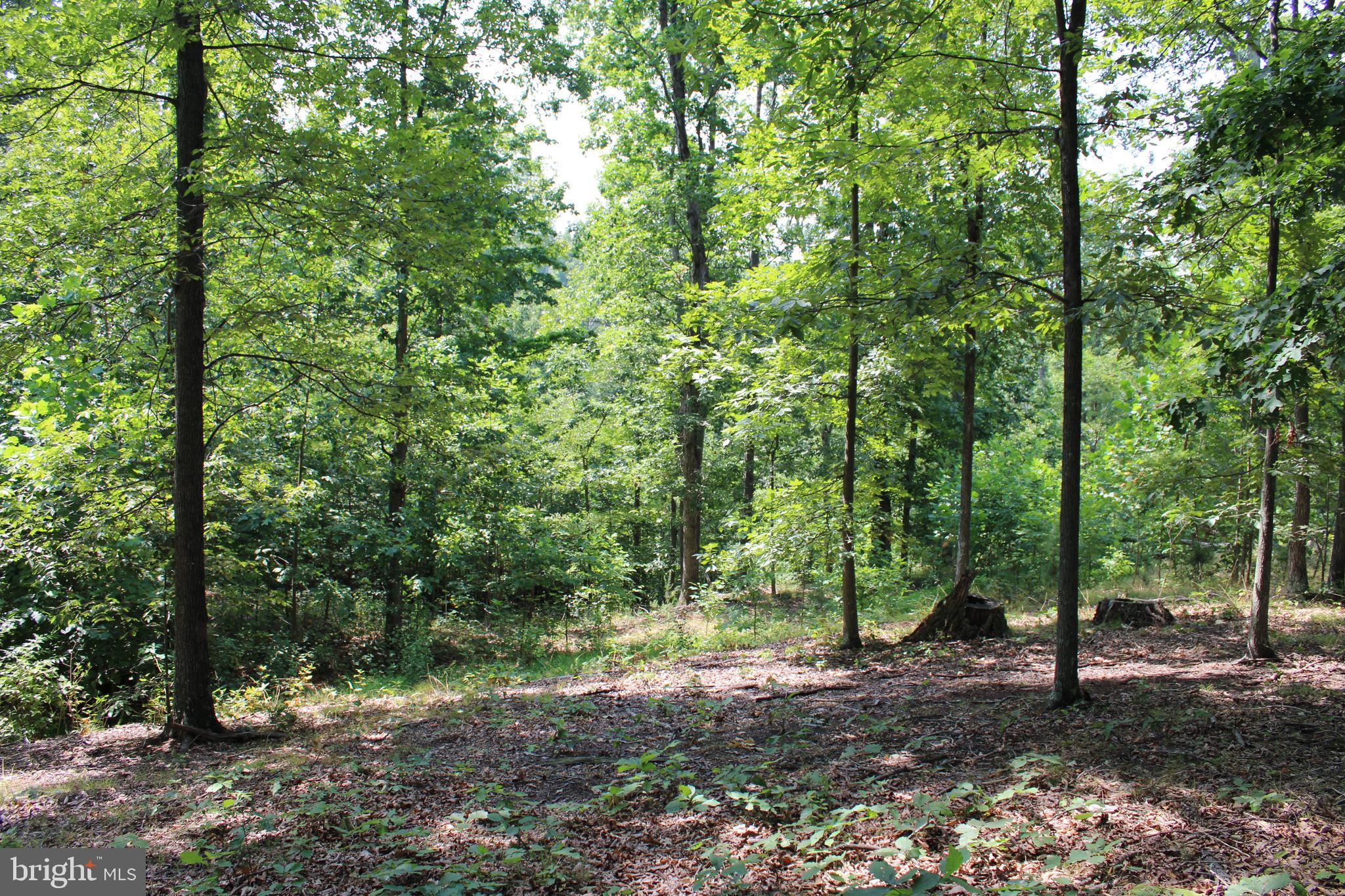 NONE AVAILABLE - Land