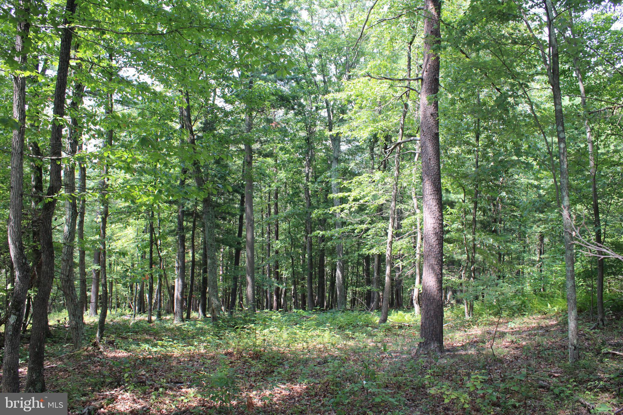 NONE AVAILABLE - Land