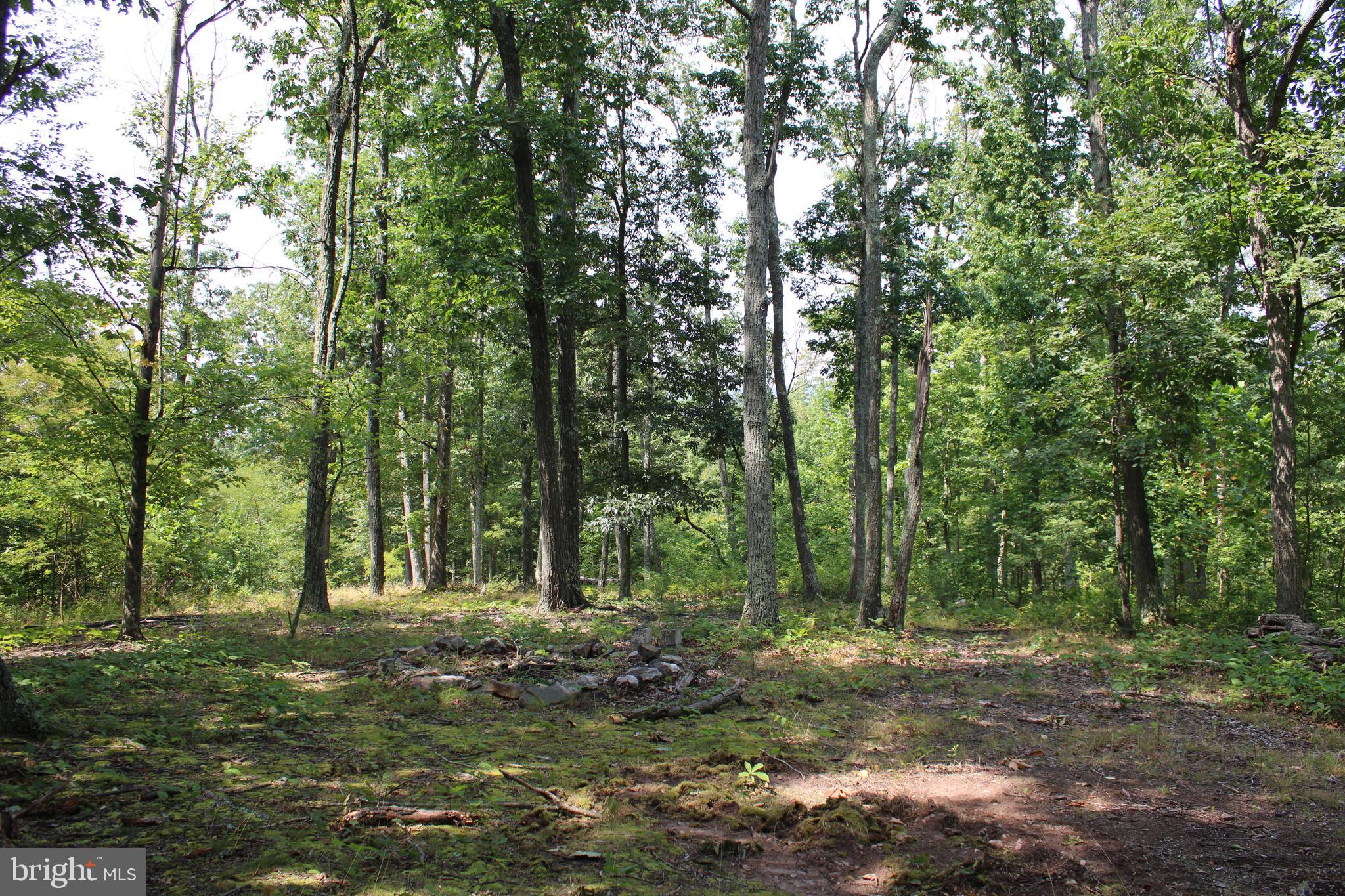 NONE AVAILABLE - Land