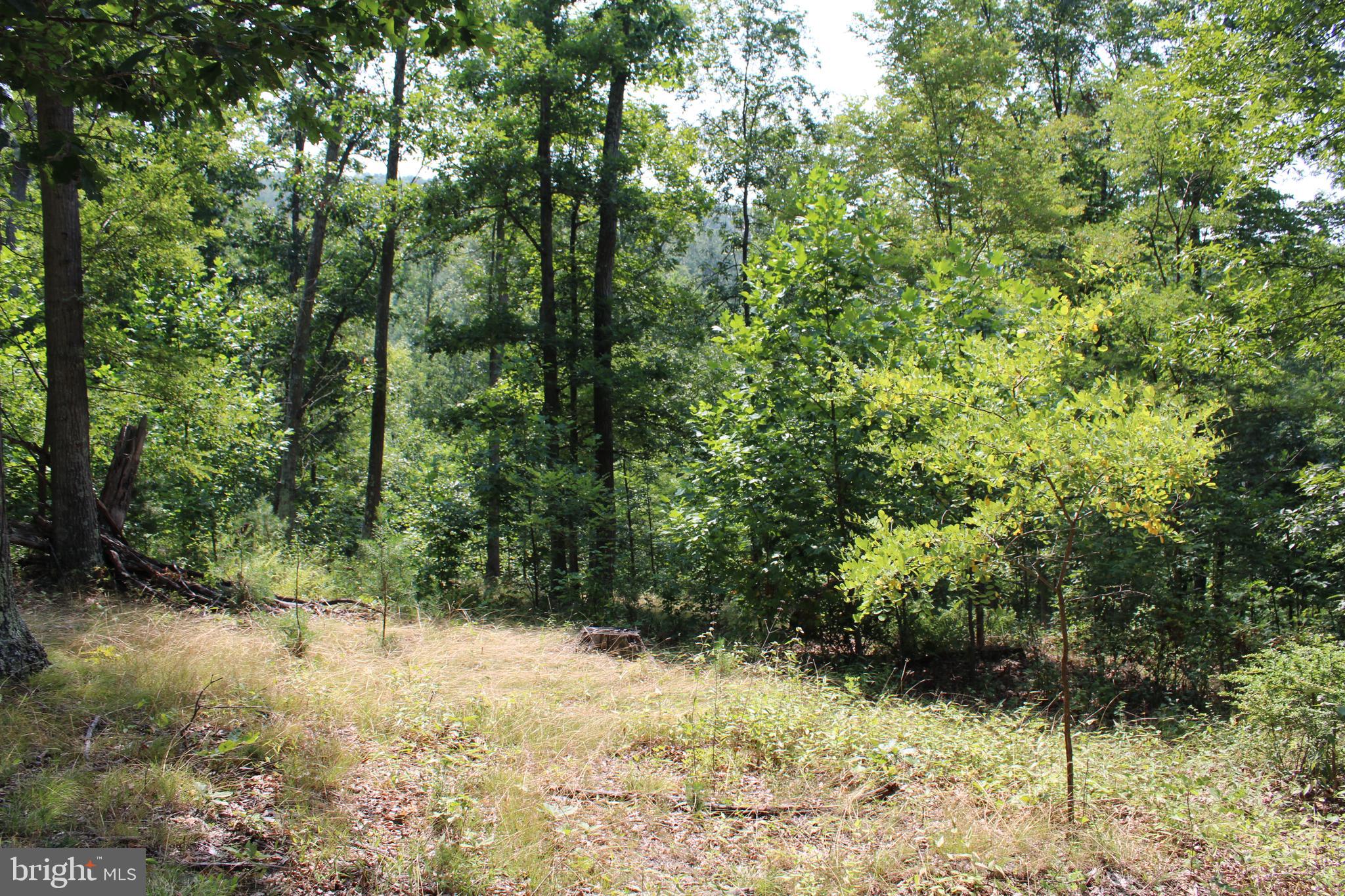 NONE AVAILABLE - Land