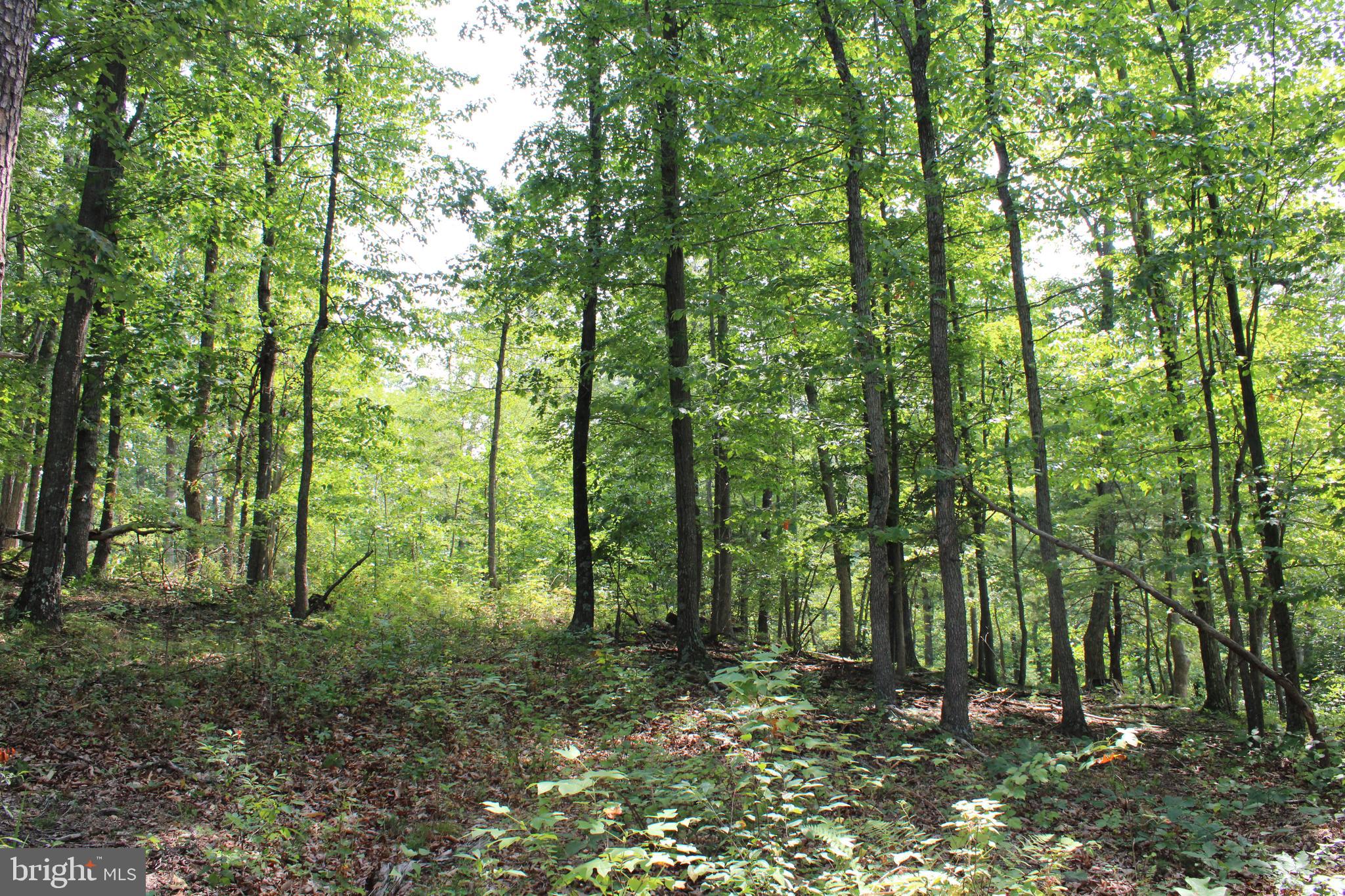 NONE AVAILABLE - Land