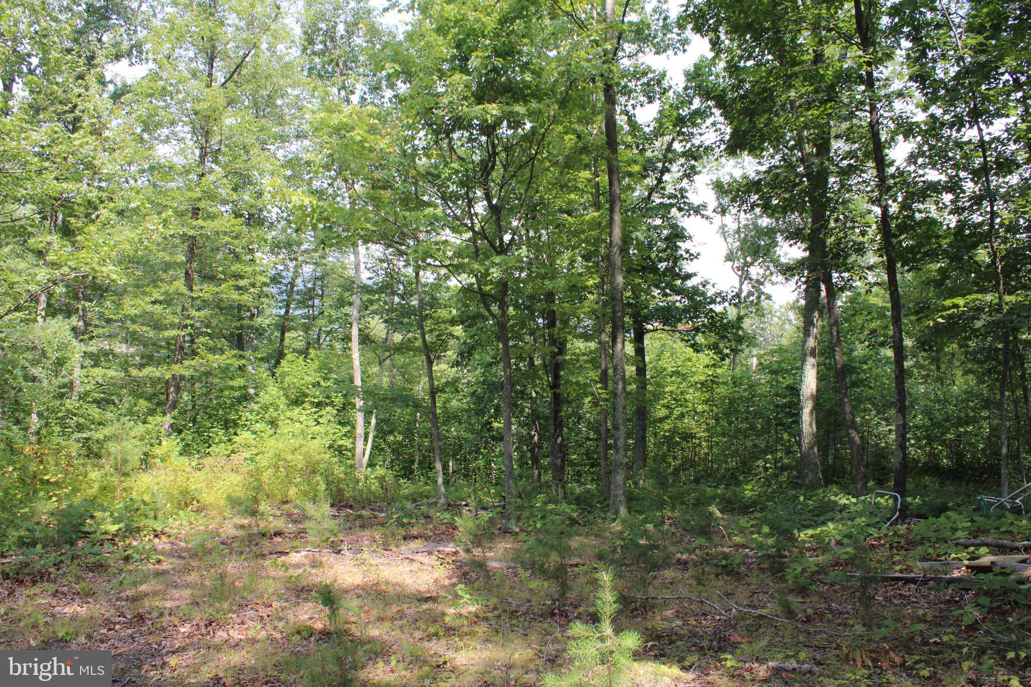 NONE AVAILABLE - Land