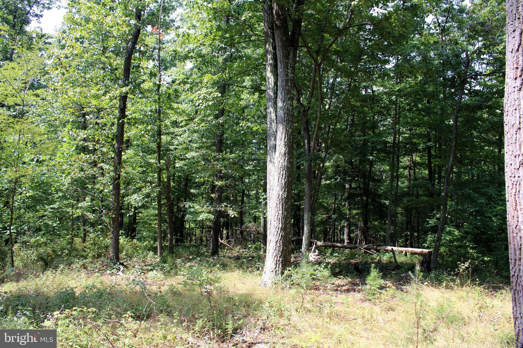 NONE AVAILABLE - Land