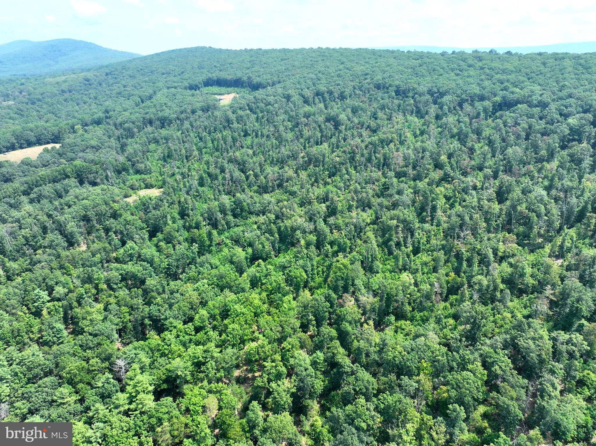 NONE AVAILABLE - Land