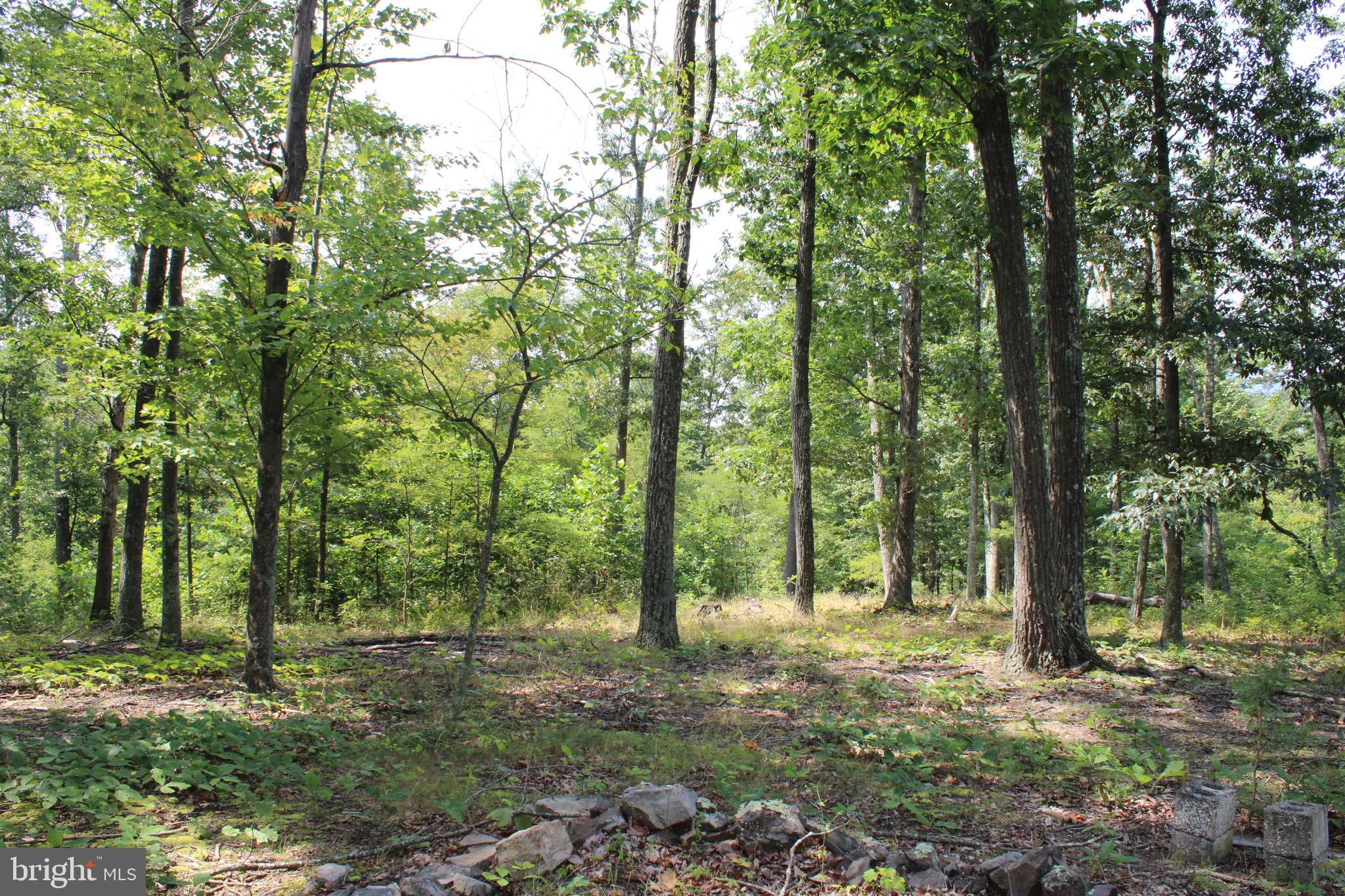 NONE AVAILABLE - Land