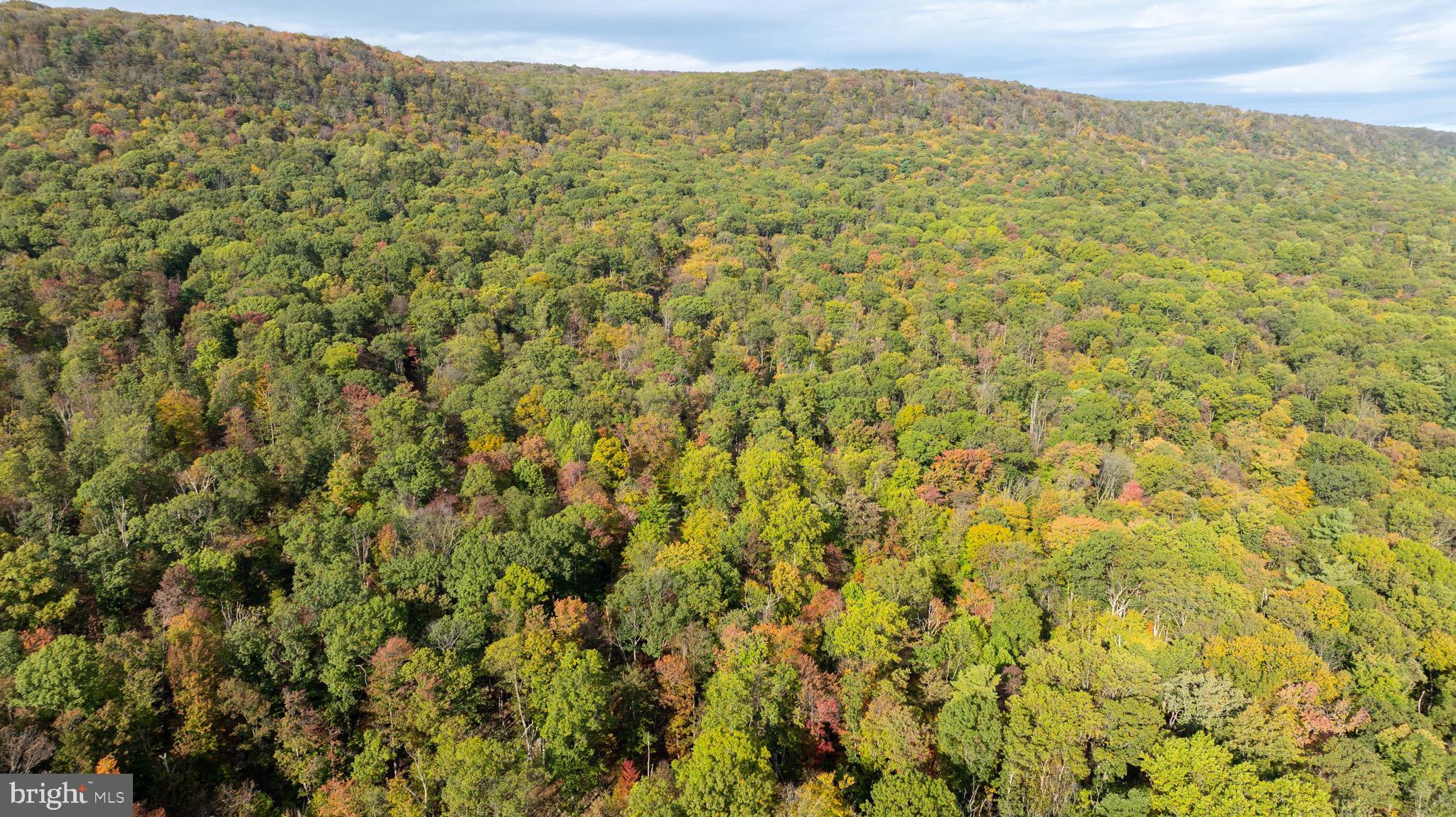 ARROWPOINT ESTATES - Residential