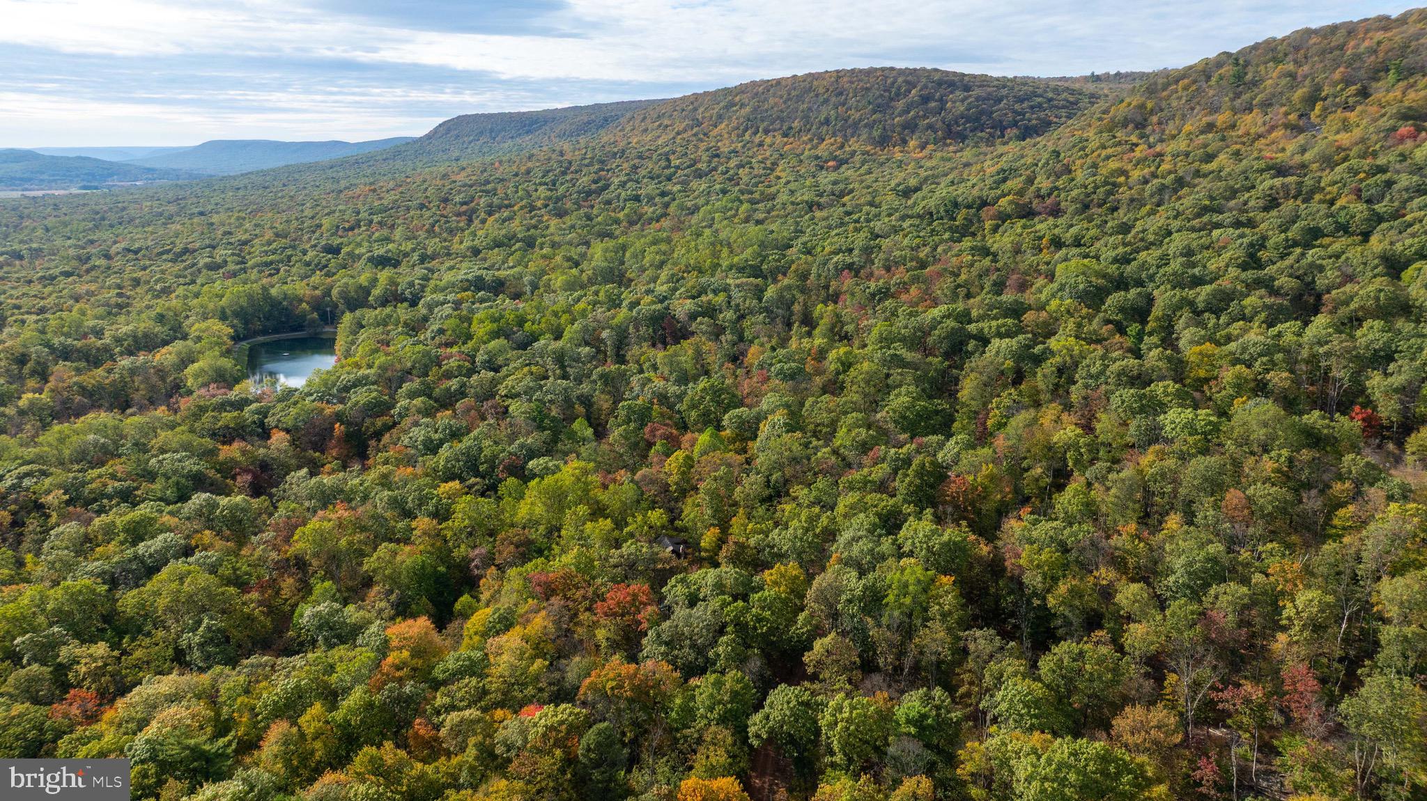 ARROWPOINT ESTATES - Residential