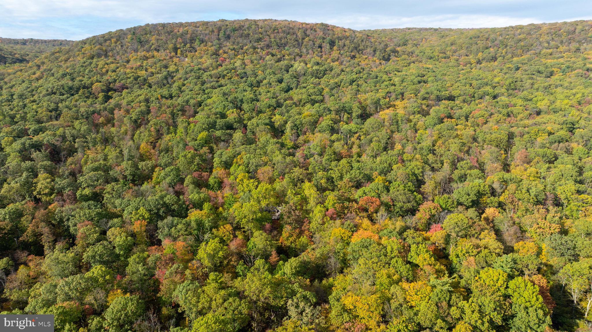 ARROWPOINT ESTATES - Residential