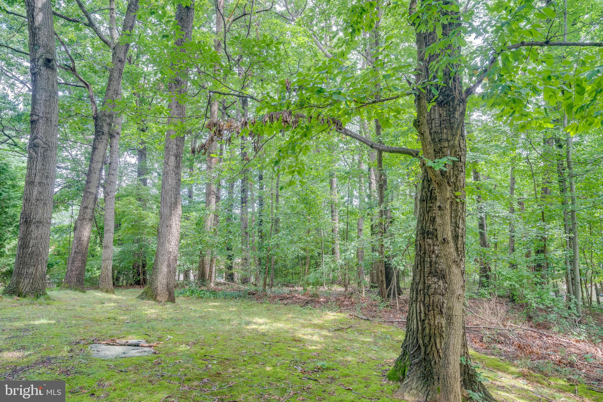 DEEPWOOD - Residential