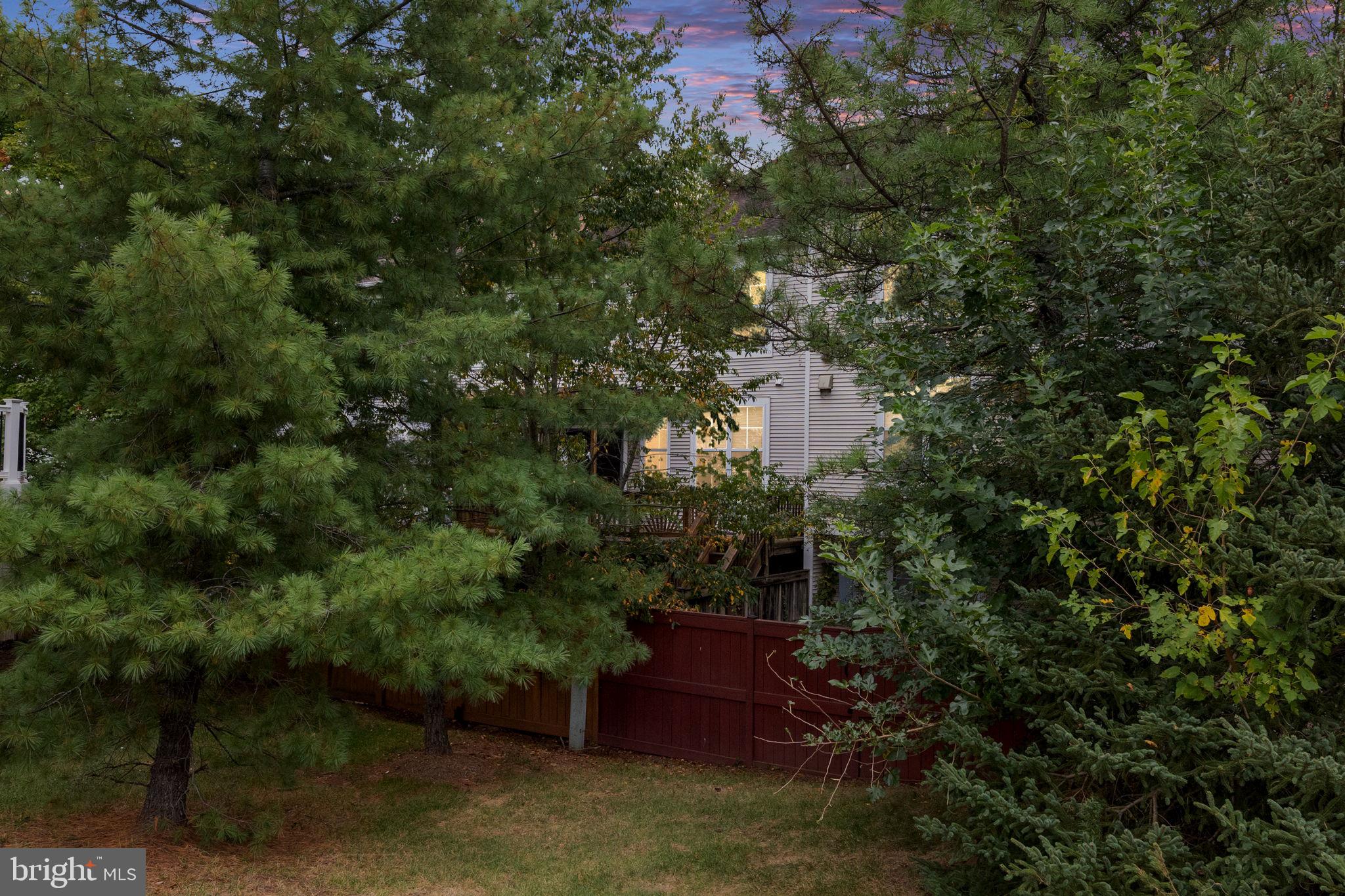 20402 COOL FERN SQUARE 20402