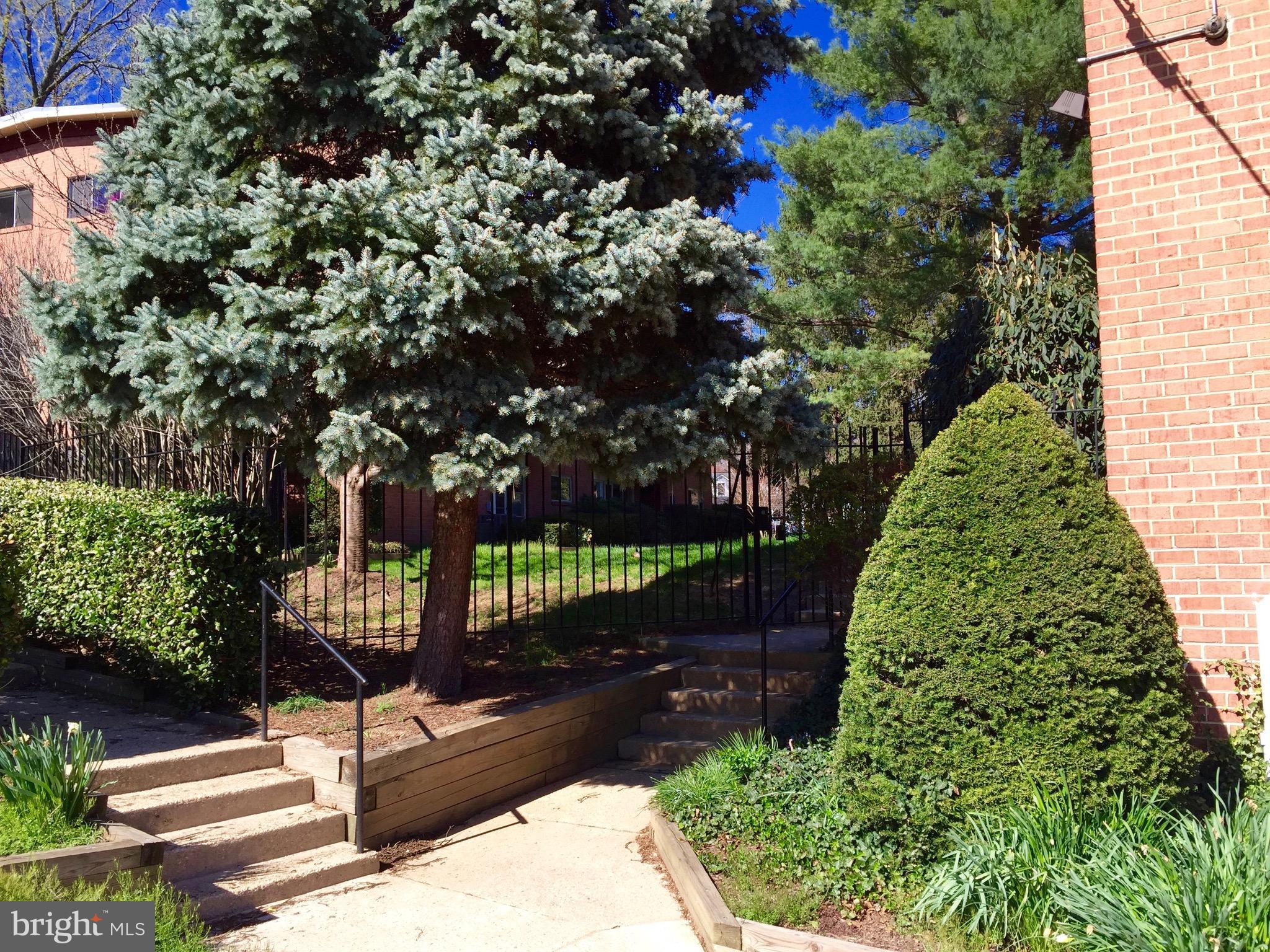 KENSINGTON TERRACE - Residential Lease