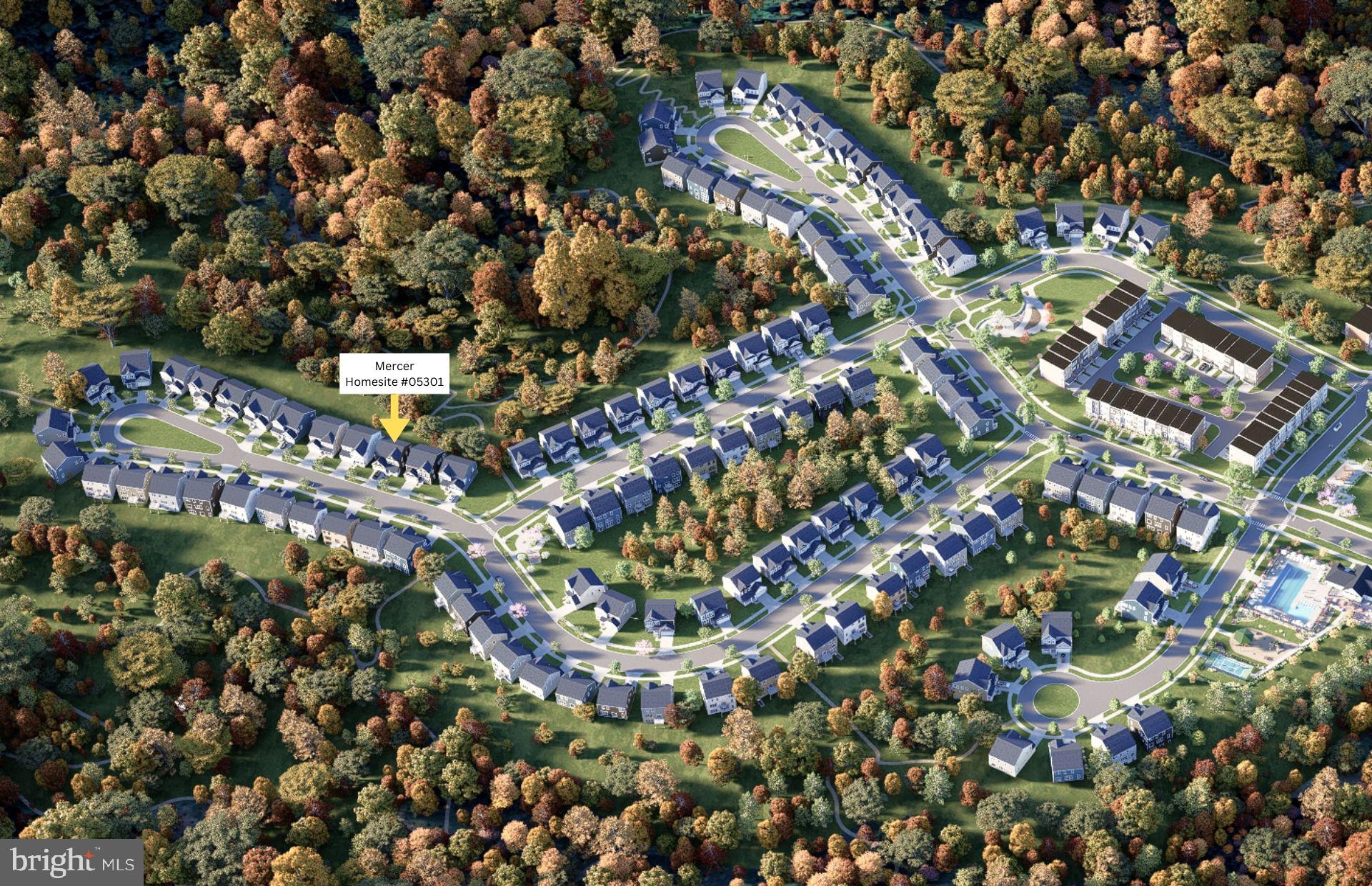 CABIN BRANCH - Residential