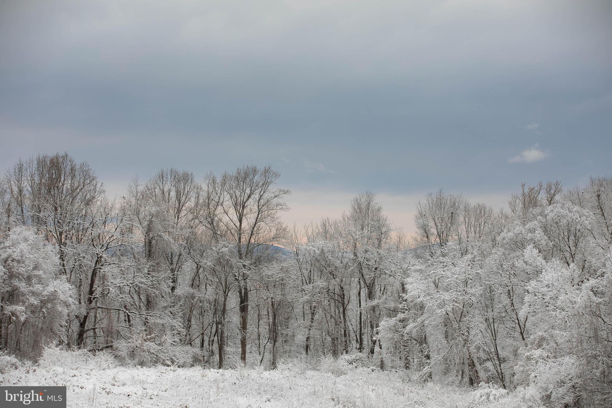 BURSTEIN - Residential