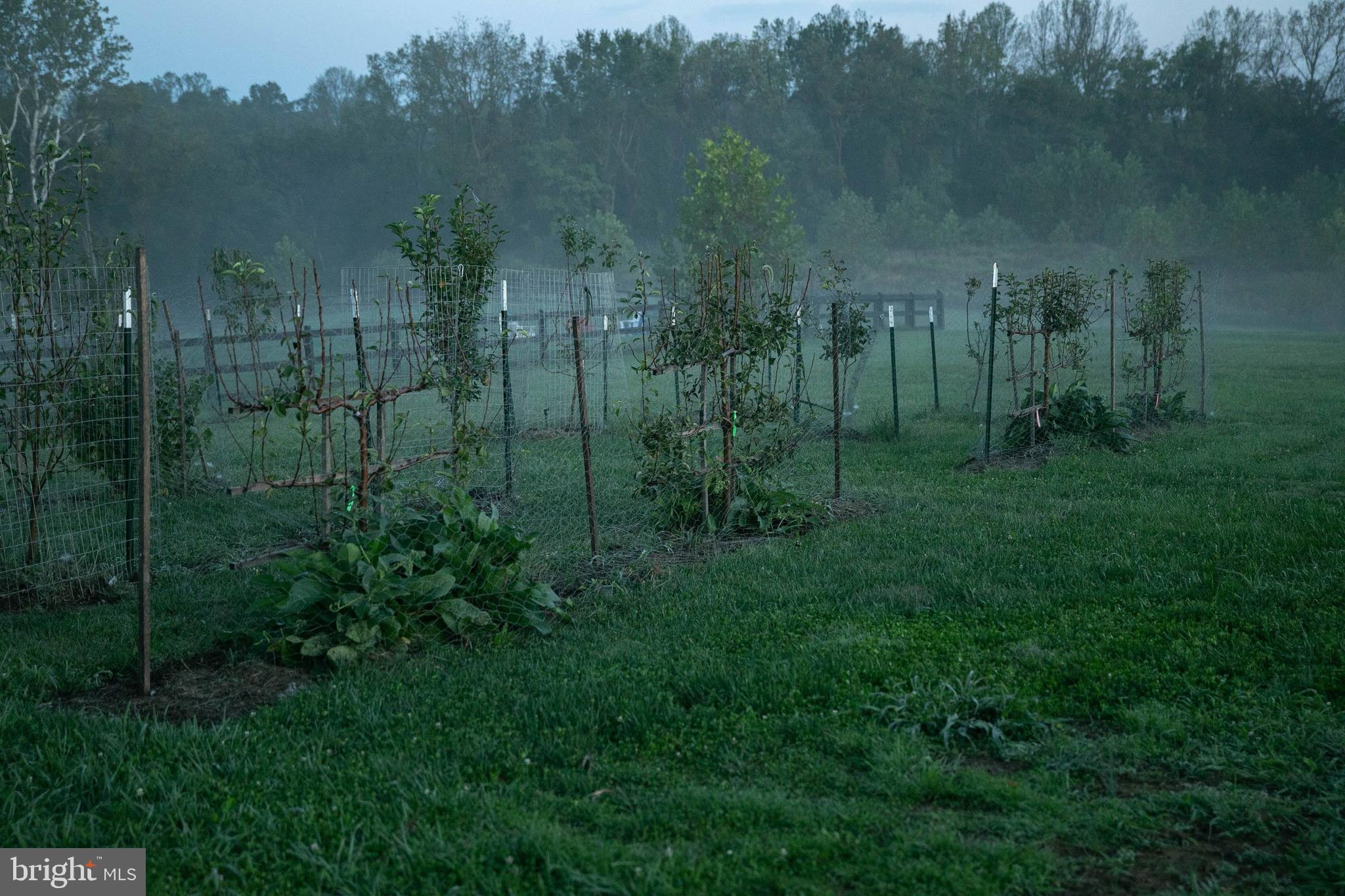 BURSTEIN - Residential