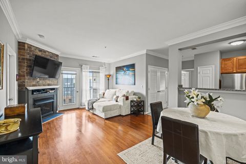 4850 EISENHOWER AVENUE 427 ALEXANDRIA VA 22304