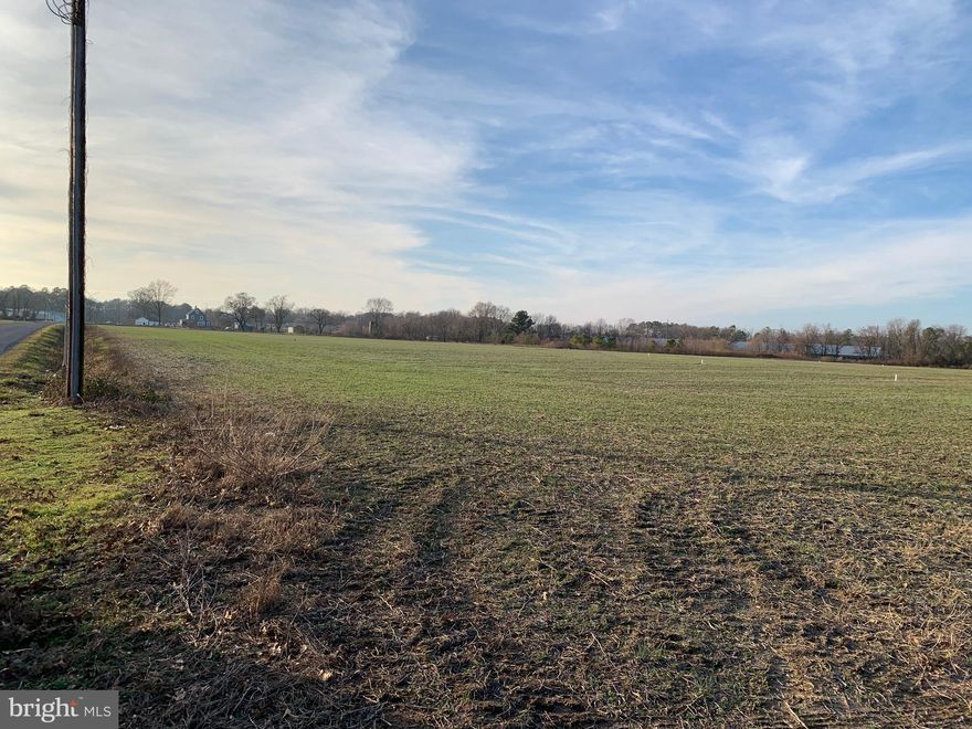 2-Acre Perc Approved Lot!  Enjoy country living!  Just minutes from the town of Federalsburg.  No deeds of covenants or restrictions.