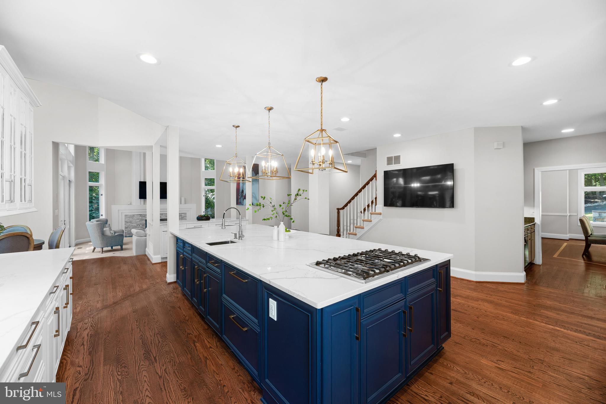 VILLAGE OF HARPERS CHOICE - Residential