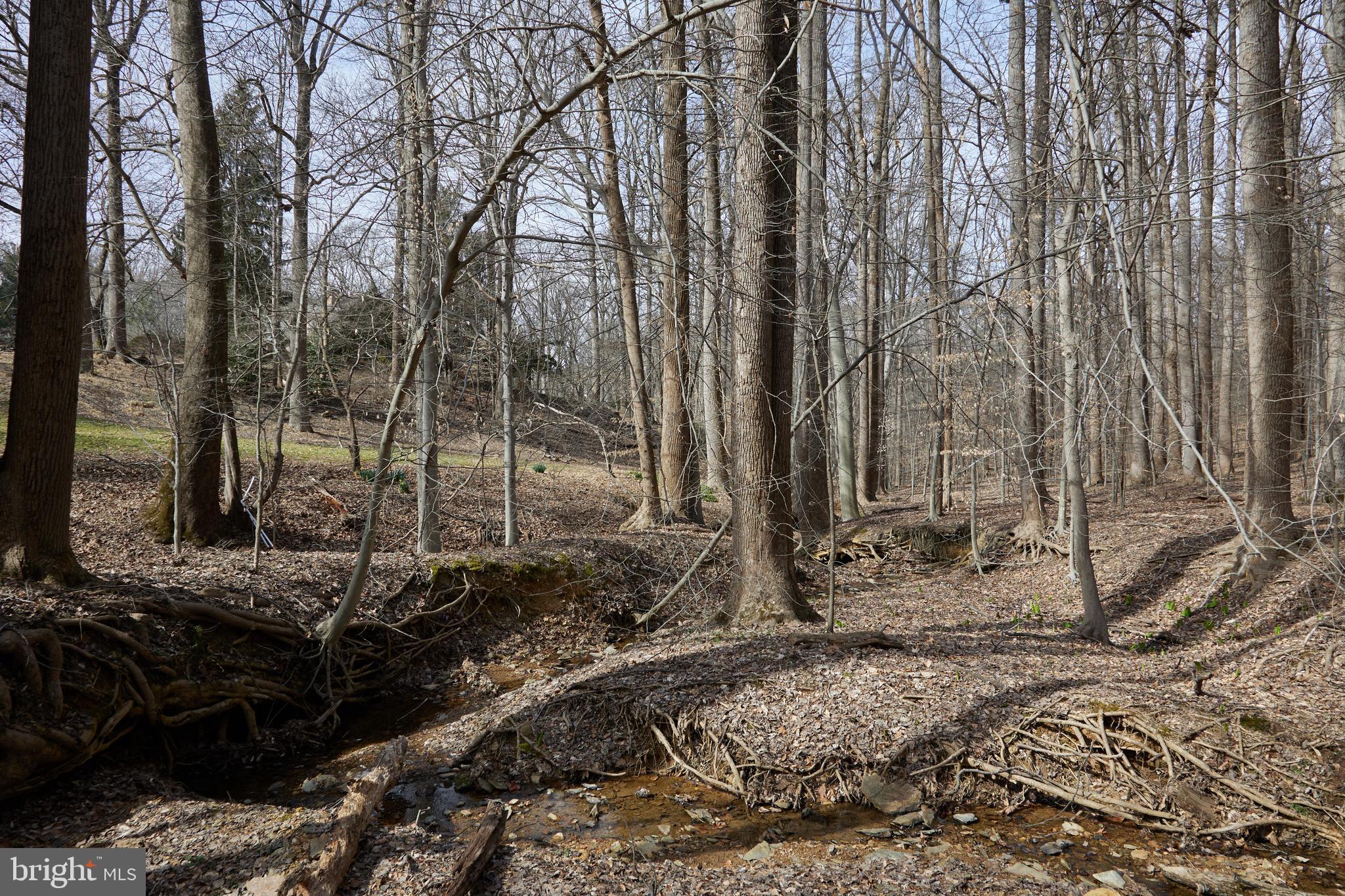 GREAT FALLS ESTATES - Residential