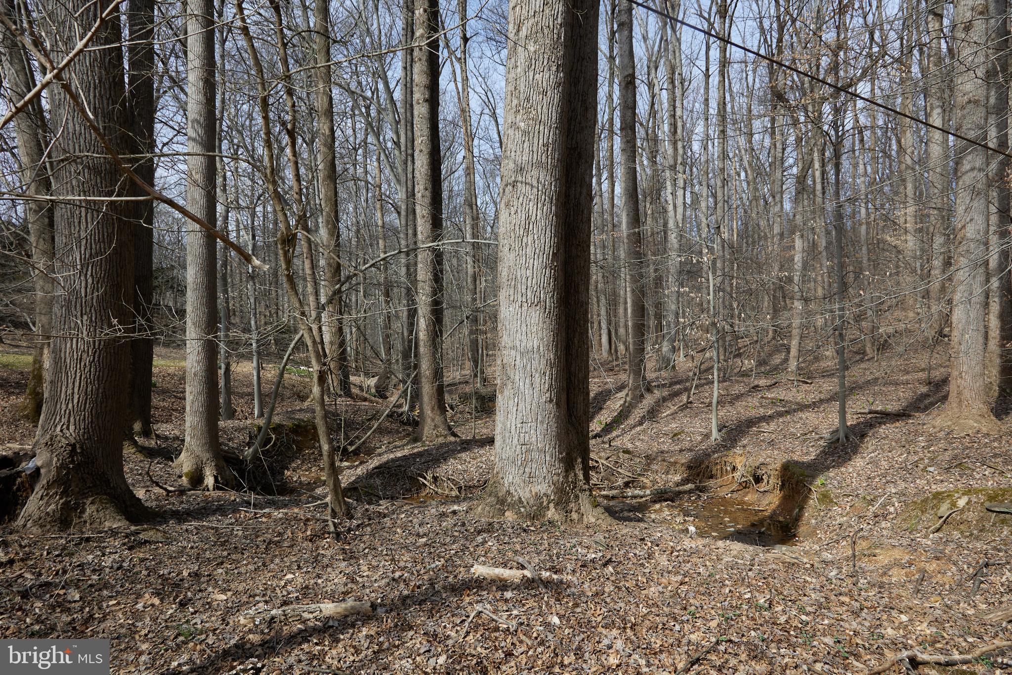 GREAT FALLS ESTATES - Residential