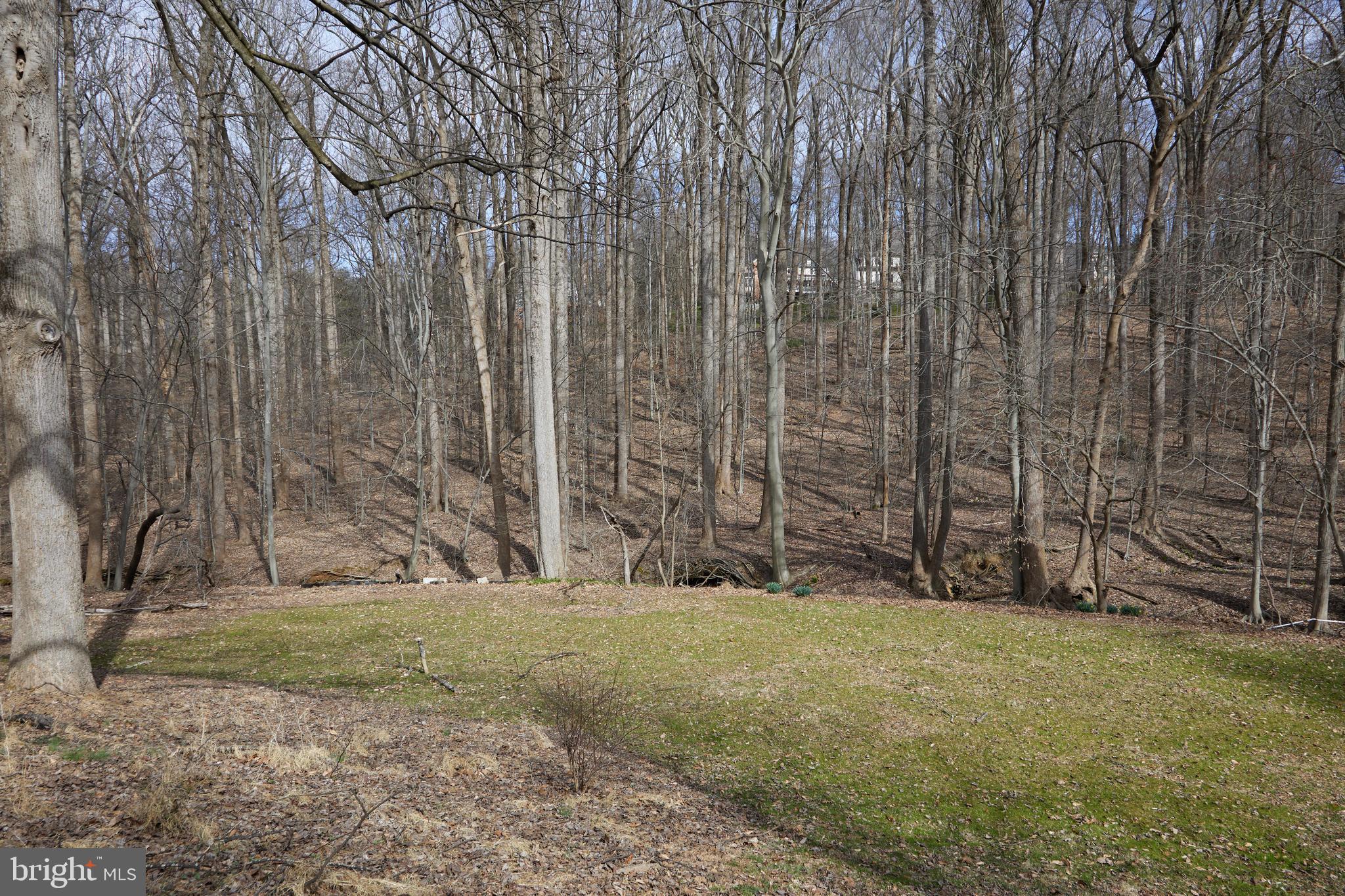 GREAT FALLS ESTATES - Residential