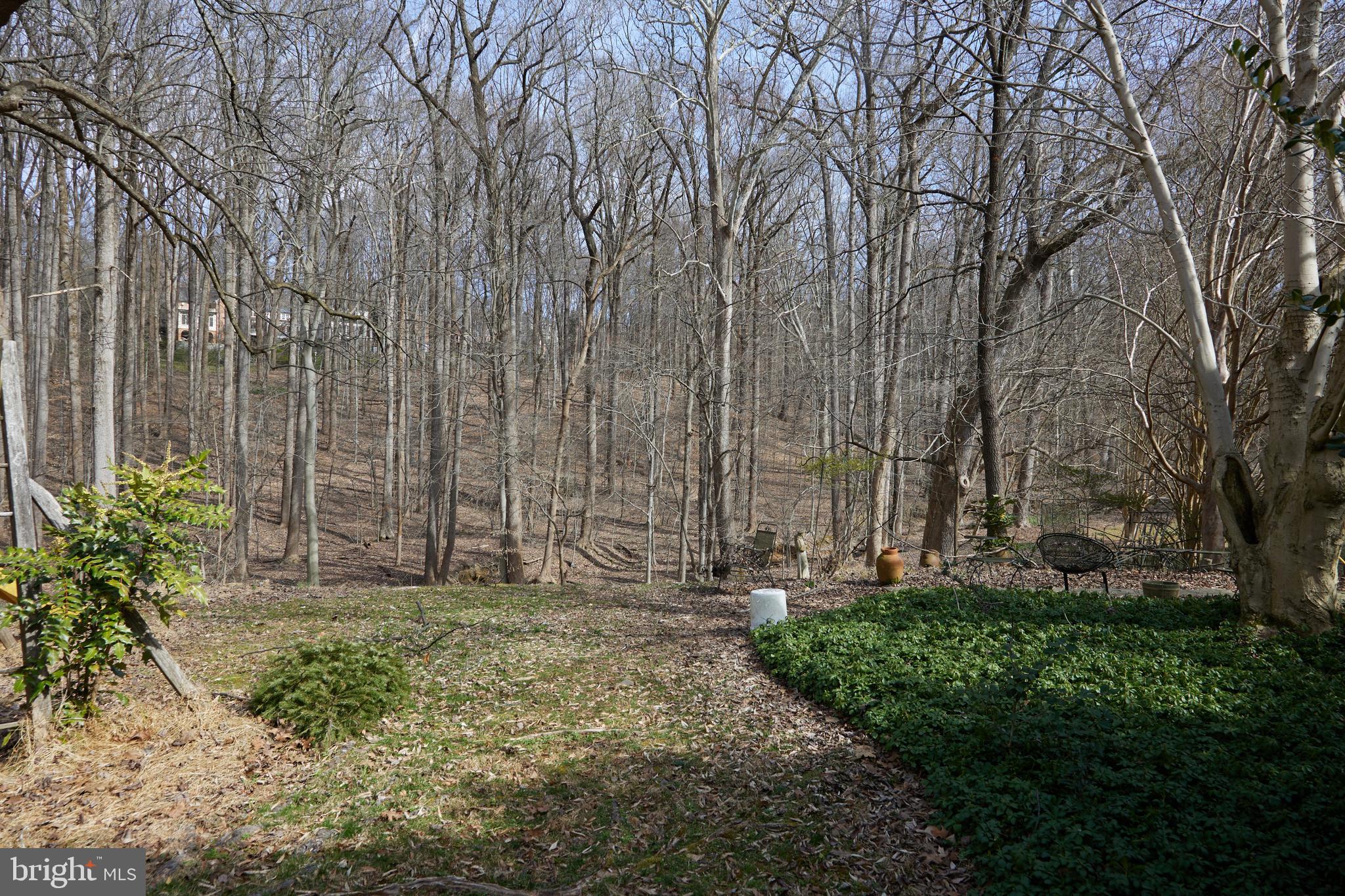 GREAT FALLS ESTATES - Residential