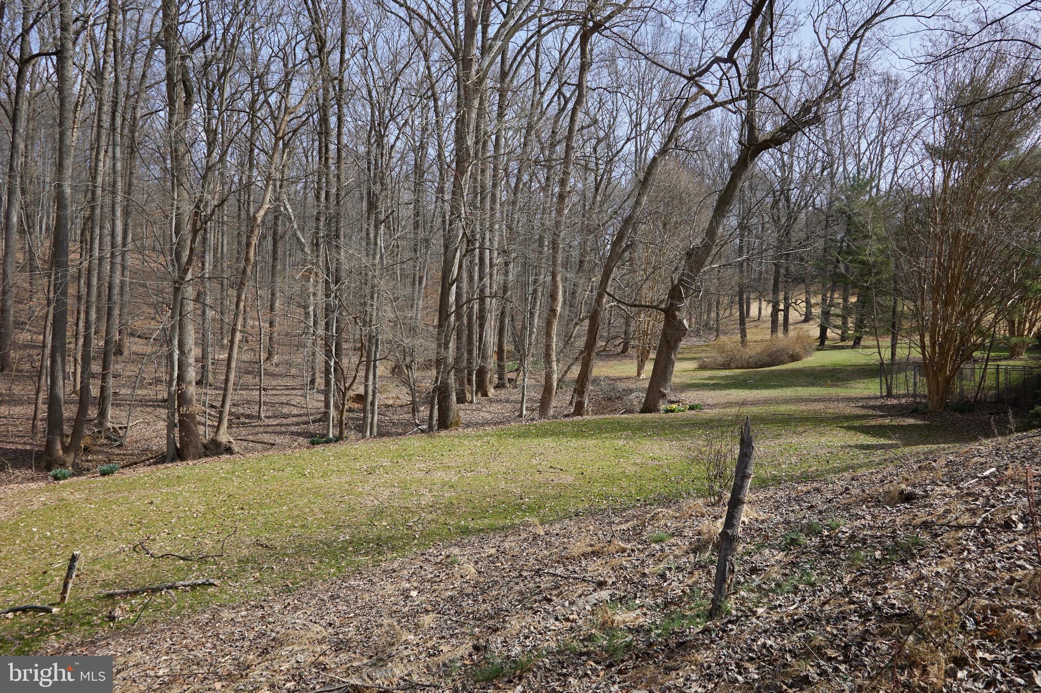 GREAT FALLS ESTATES - Residential