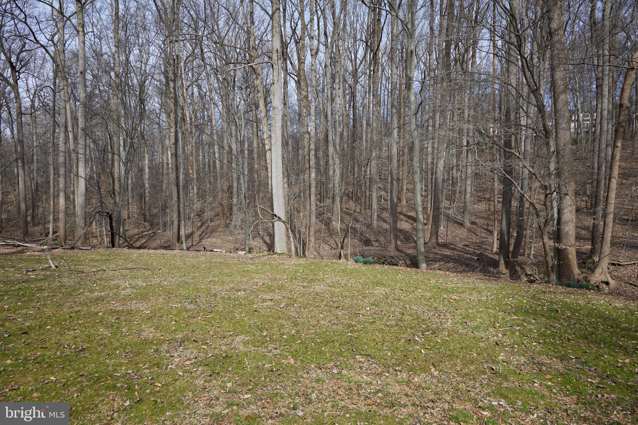 GREAT FALLS ESTATES - Residential