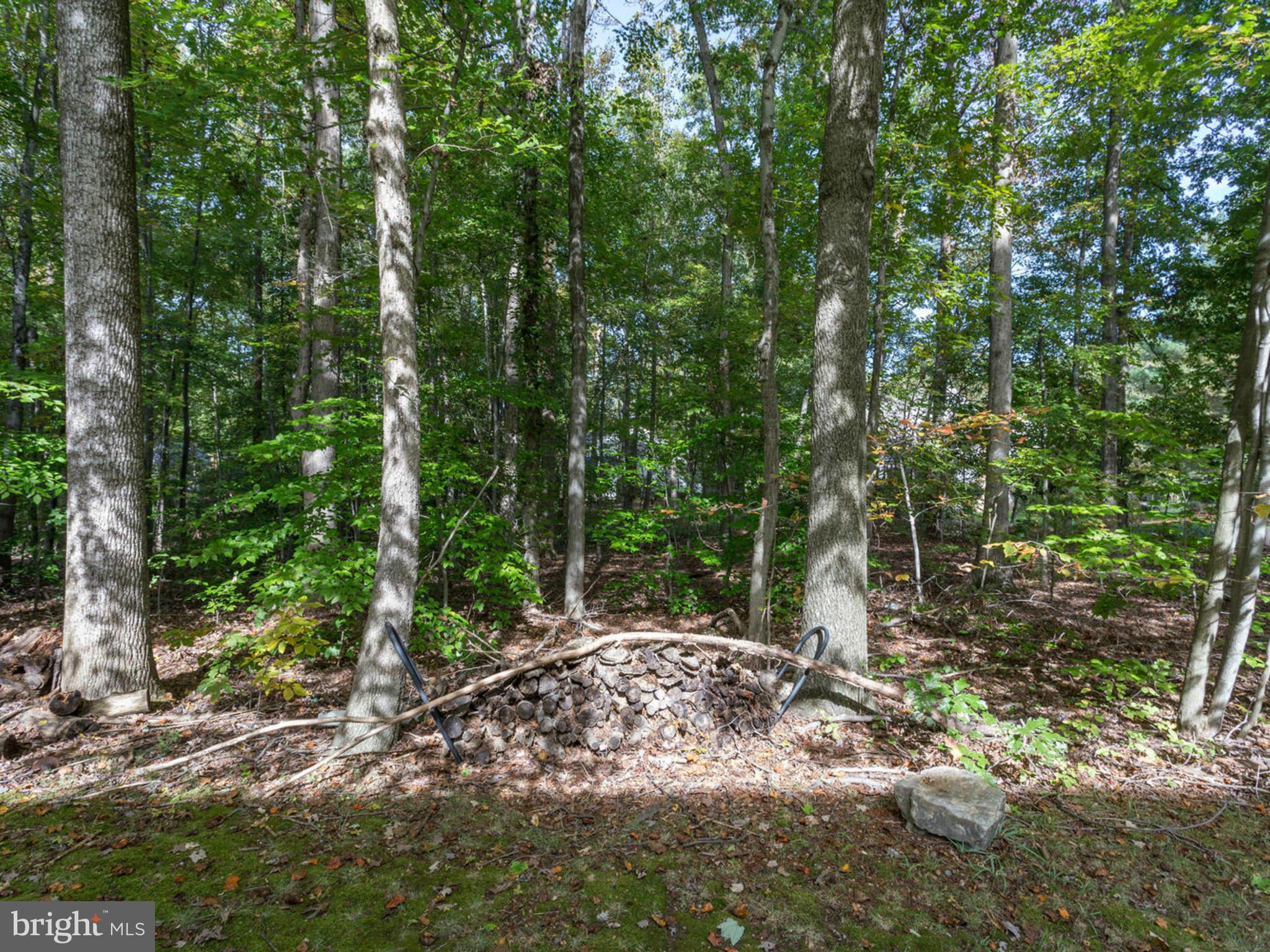 LAKE RIDGE - Residential Lease