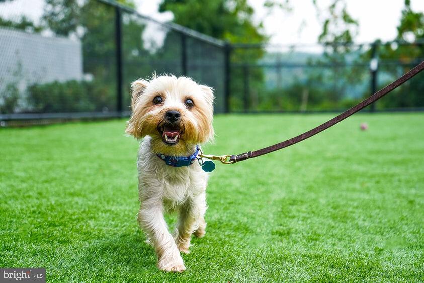 LANSDOWNE - Residential Lease