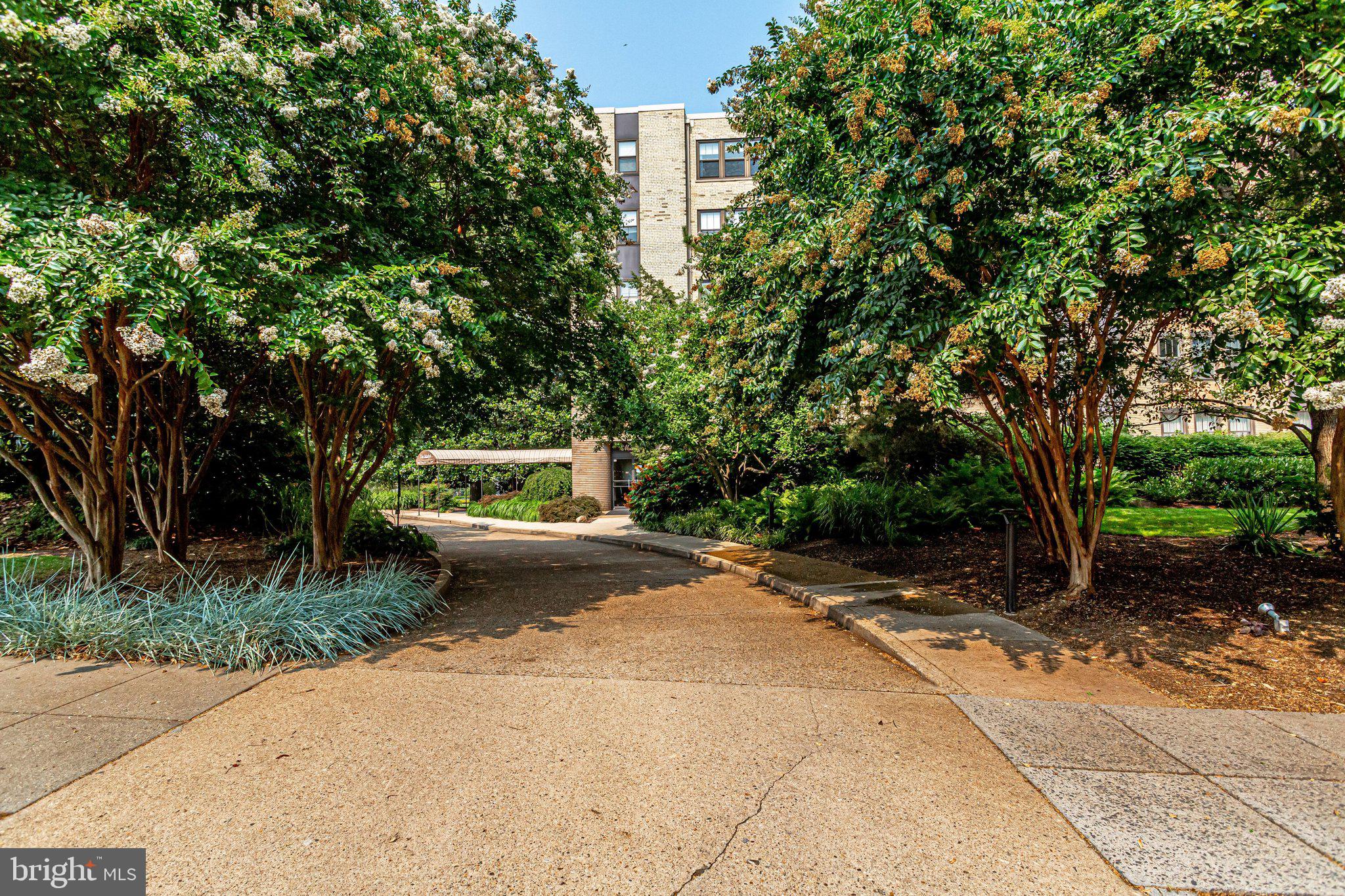 3901 CATHEDRAL AVENUE NW 111