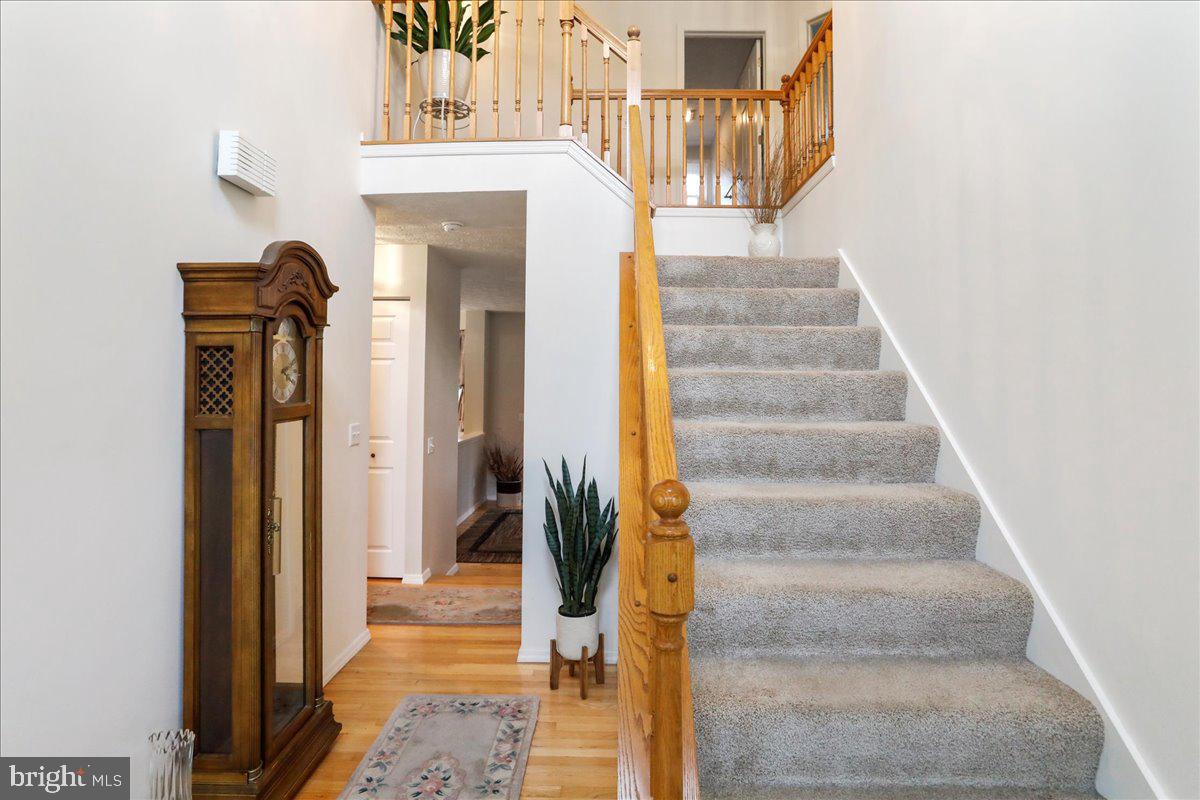 254 RIDGEWOOD DRIVE