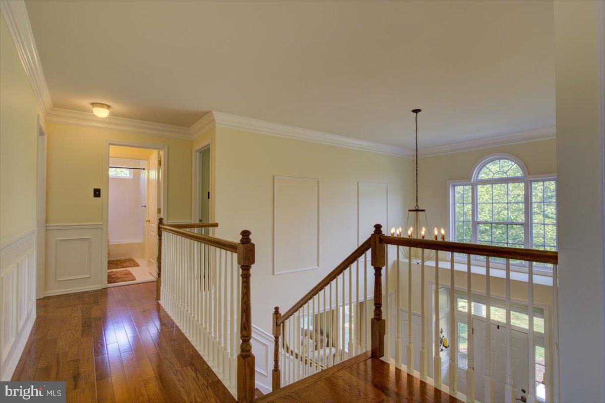 WOODS EDGE - Residential