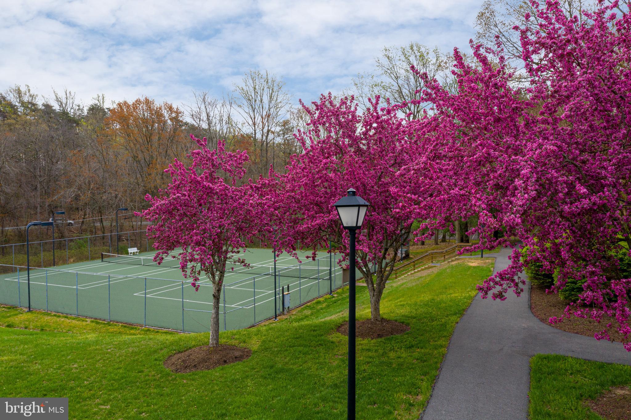 SOUTH RUN - Residential