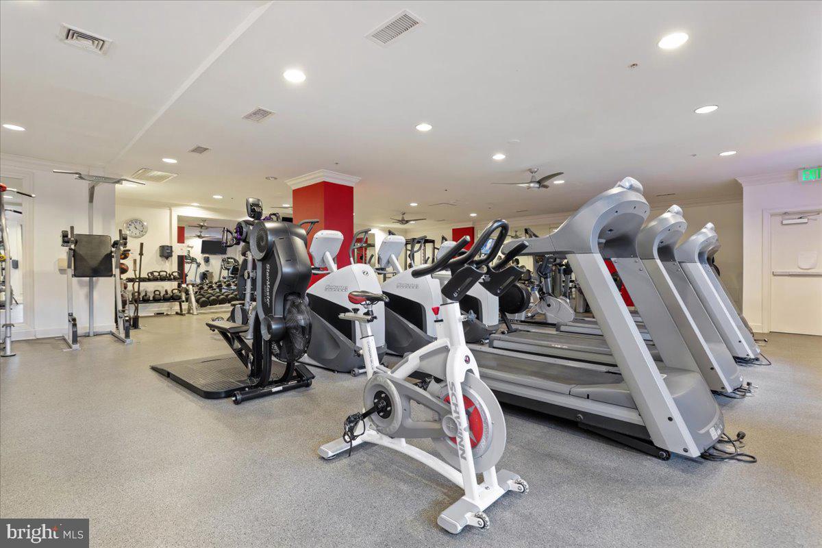 HALSTEAD AT THE METRO - Residential