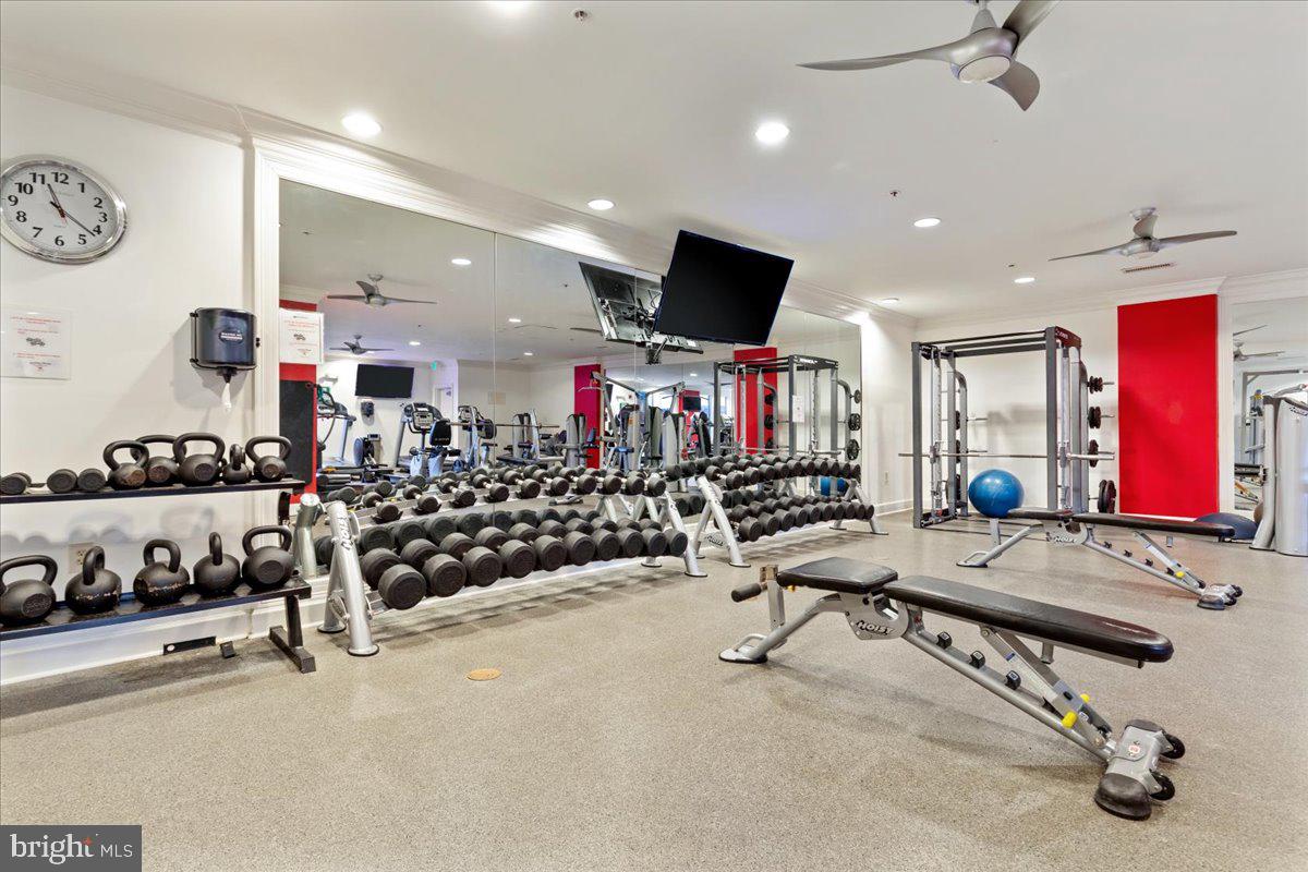 HALSTEAD AT THE METRO - Residential