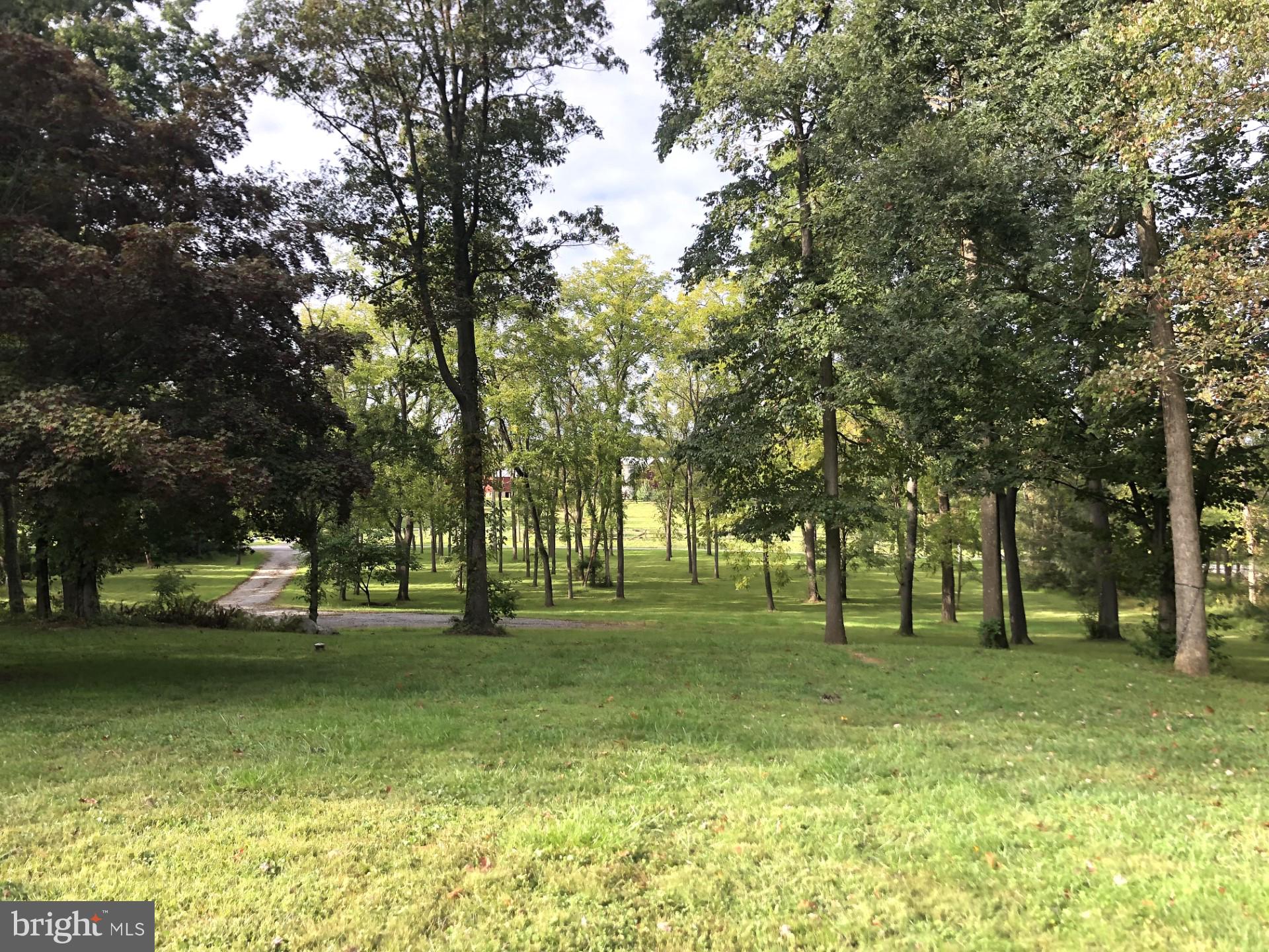 WHITE HALL - Residential