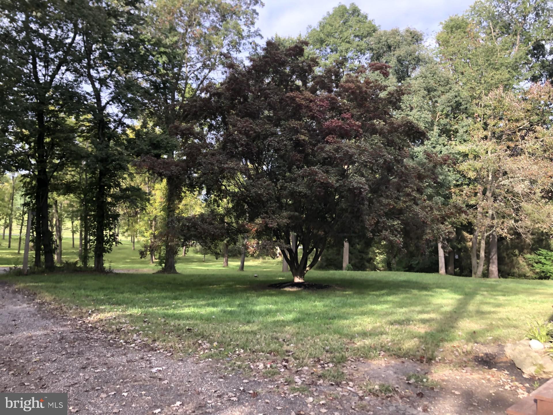 WHITE HALL - Residential