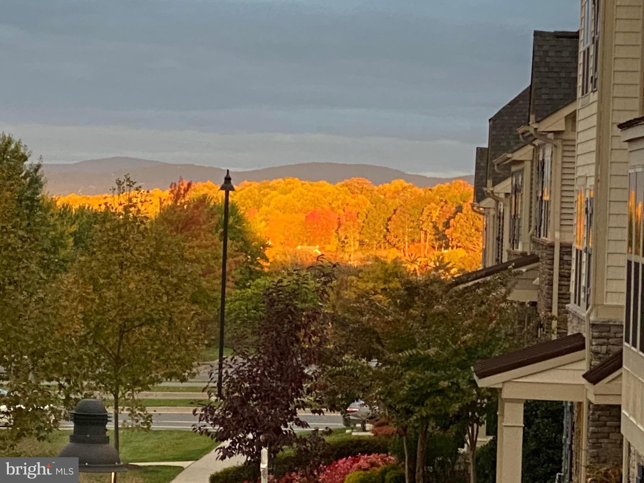 LINGANORE GARDEN CONDOMINIUMS - Residential