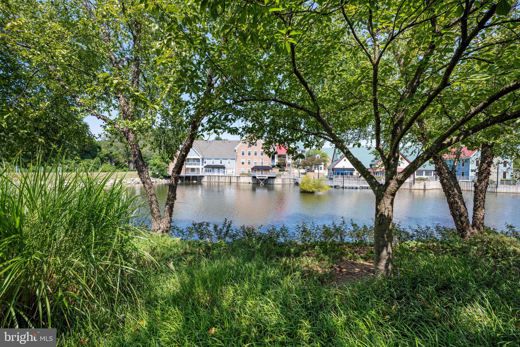 TACKETTS MILL - Residential Lease