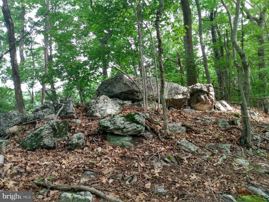 OWN A WV RIDGE TOP! 10.55 Acres, Nice mountain and river views from atop Tonolaway Ridge, catch the sunrise as it rises over the Cacapon Mt. The private setting is perfect for that weekend get-a-way, hunting and hiking. Mostly steep hillside though  so if your lookin for flat land this is not for you. No HOA on the unrestricted land.