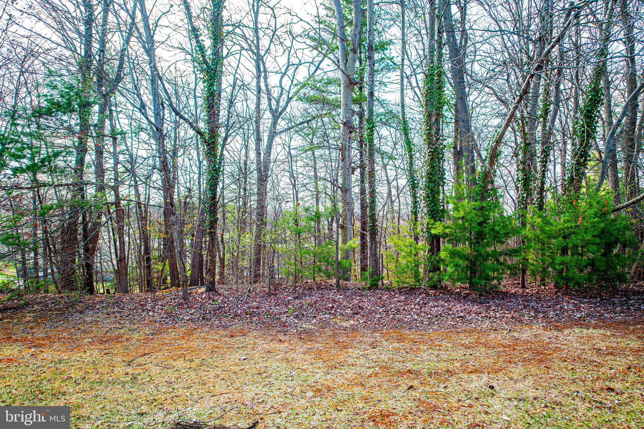 BOX HILL SOUTH - Residential