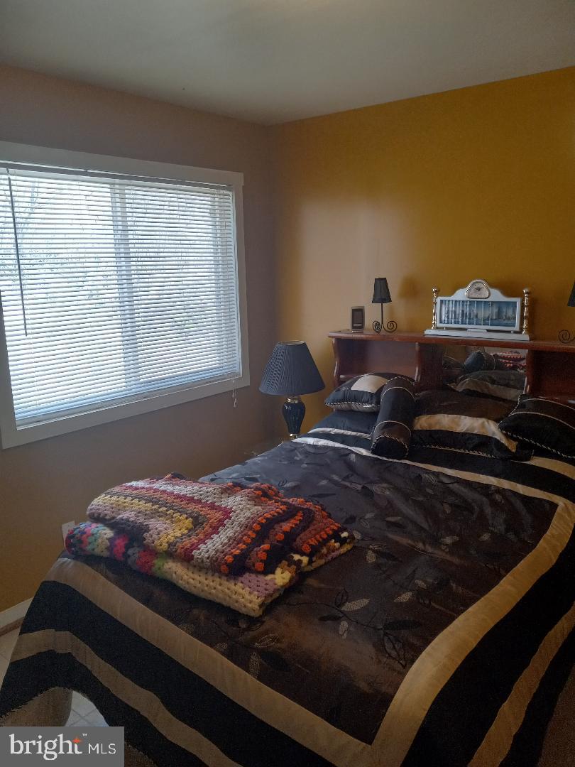 SHENANDOAH FOREST - Residential