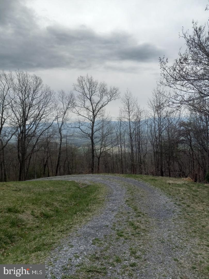 SHENANDOAH FOREST - Residential